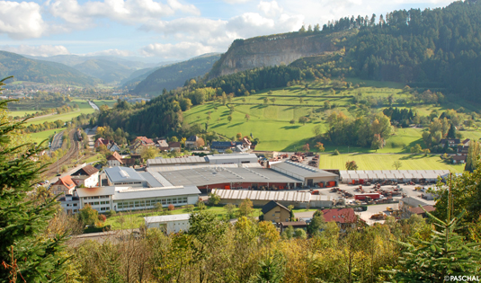 Blick auf das PASCHAL-Werk in Steinach