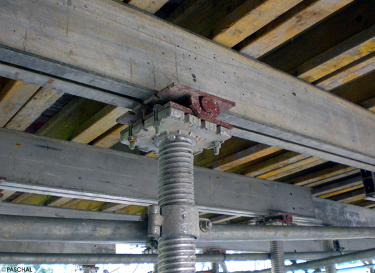 GASS Shoring System