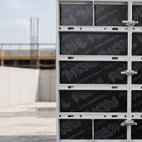 NeoR.alu Element